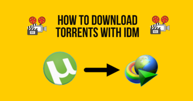 Download Torrents With IDM